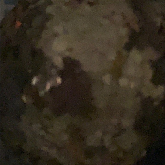 annasimonfahim